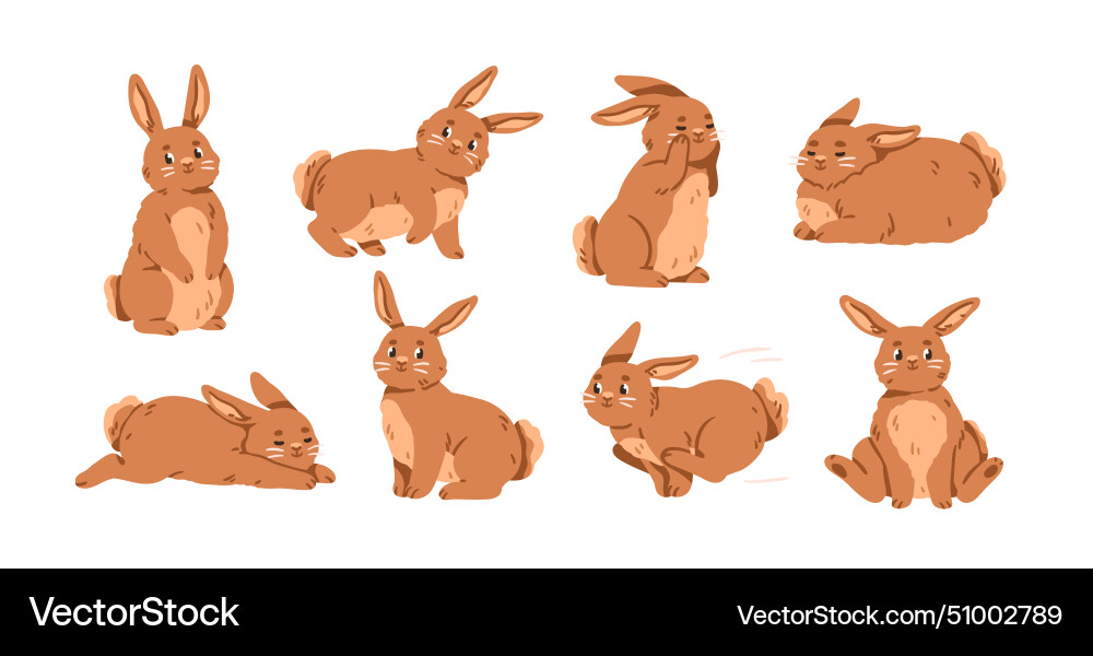 Cute rabbit characters running jumping standing Vector Image