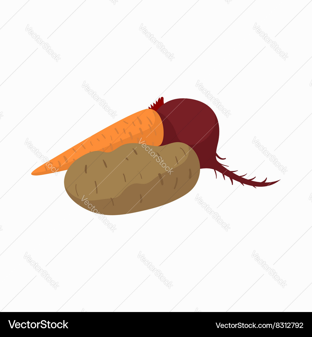 Beetroot carrot and potato icon cartoon style Vector Image