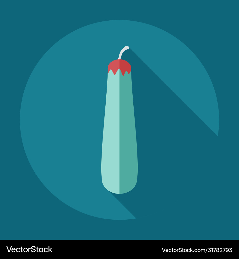 Flat modern design with shadow icons squash vector image
