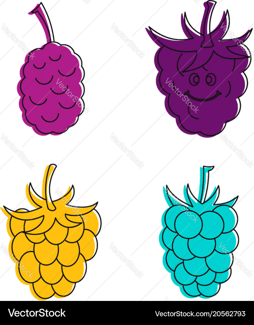 Raspberry icon set color outline style vector image