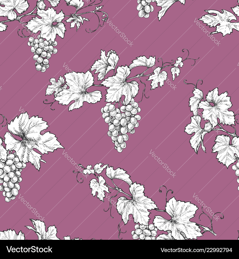 Seamless pattern with grape branches Seamless pattern with grape branches vector image