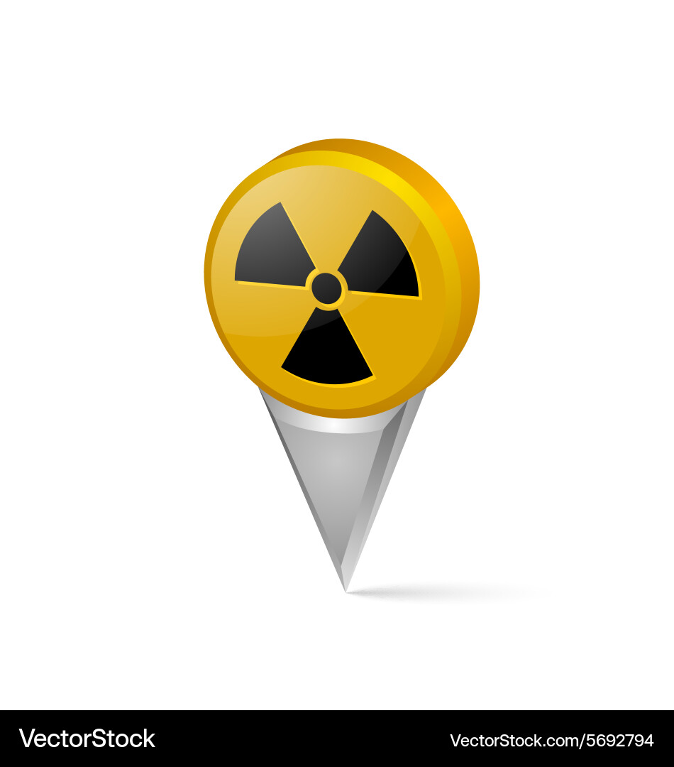 Three Dimensional Nuclear Pointer Vector Image