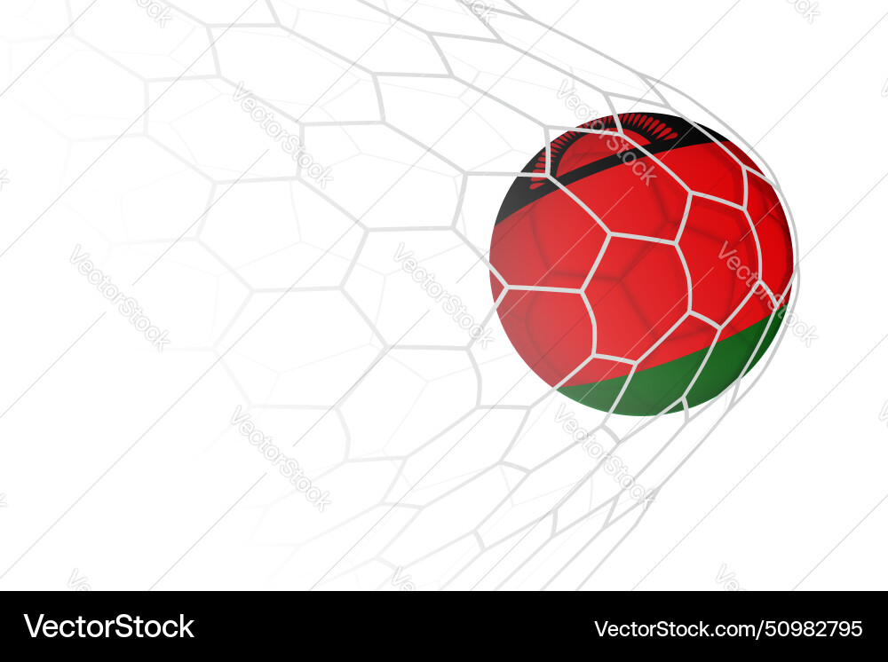 Malawi Flagge Fußball in Netz Vektorbild