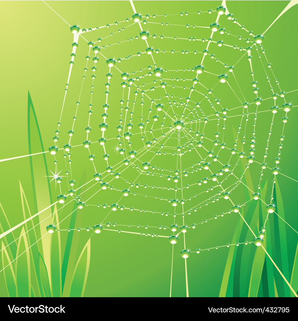 Spider web background vector image