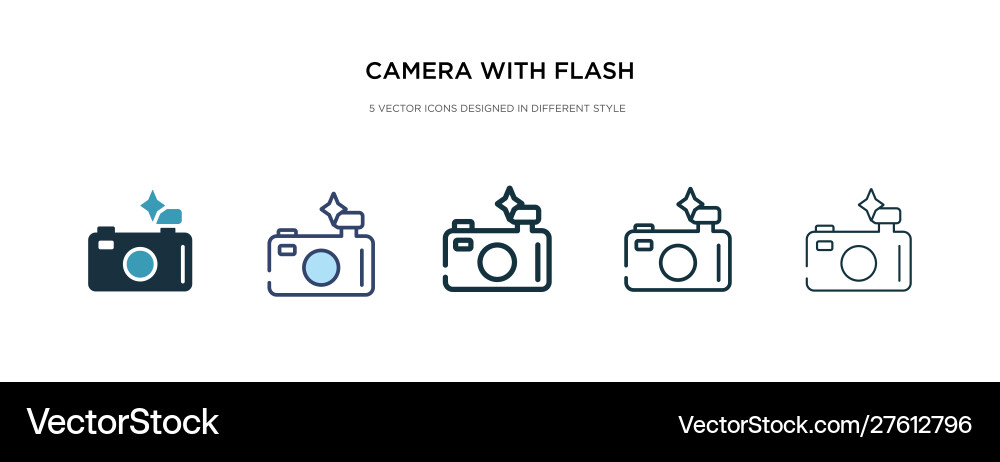 Camera with flash icon in different style two Camera with flash icon in different style two vector image