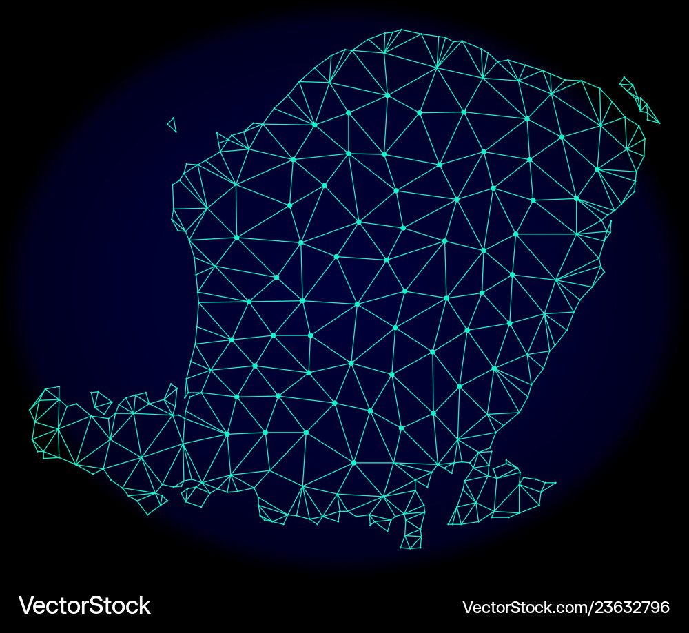 Polygonal network mesh abstract map Polygonal network mesh abstract map vector image