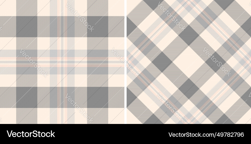 Texture pattern textile of background check vector image