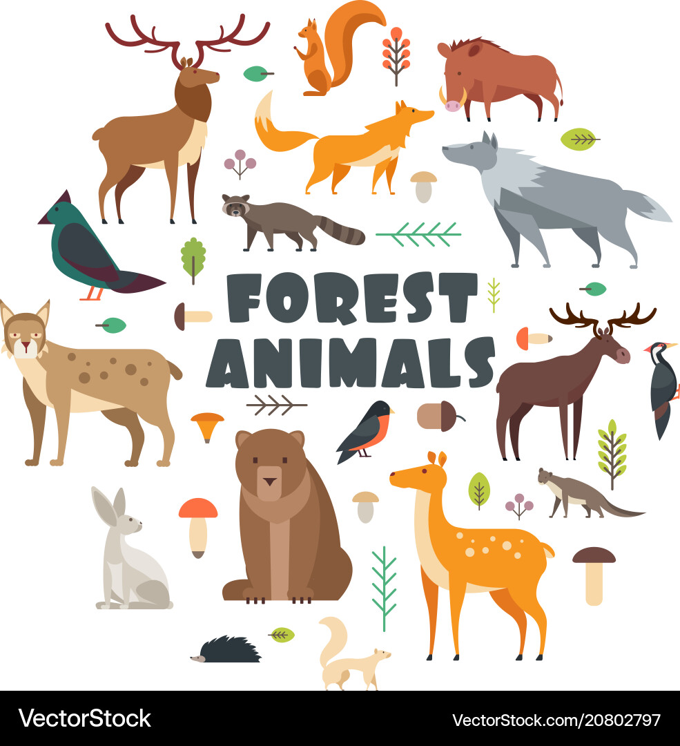 Forest Animals Circle - Wildlife Group Vector Image
