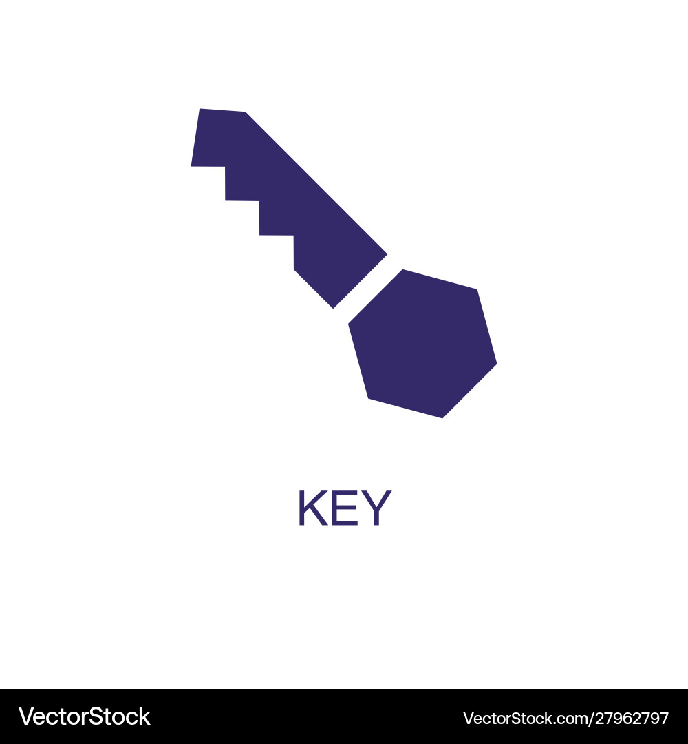Key element in flat simple style on white vector image
