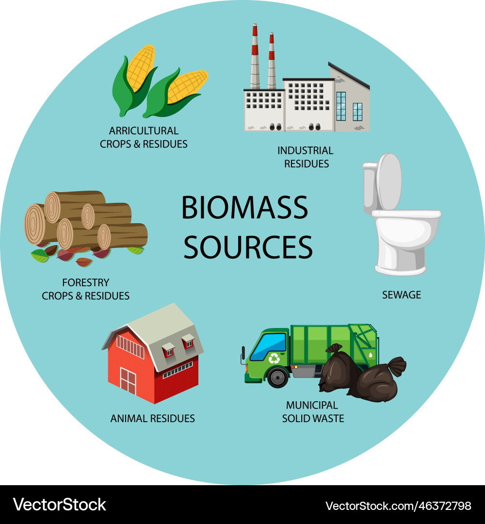 Many Forms Of Biomass Energy Royalty Free Vector Image many-forms-of-biomass-energy-royalty-free-vector-image