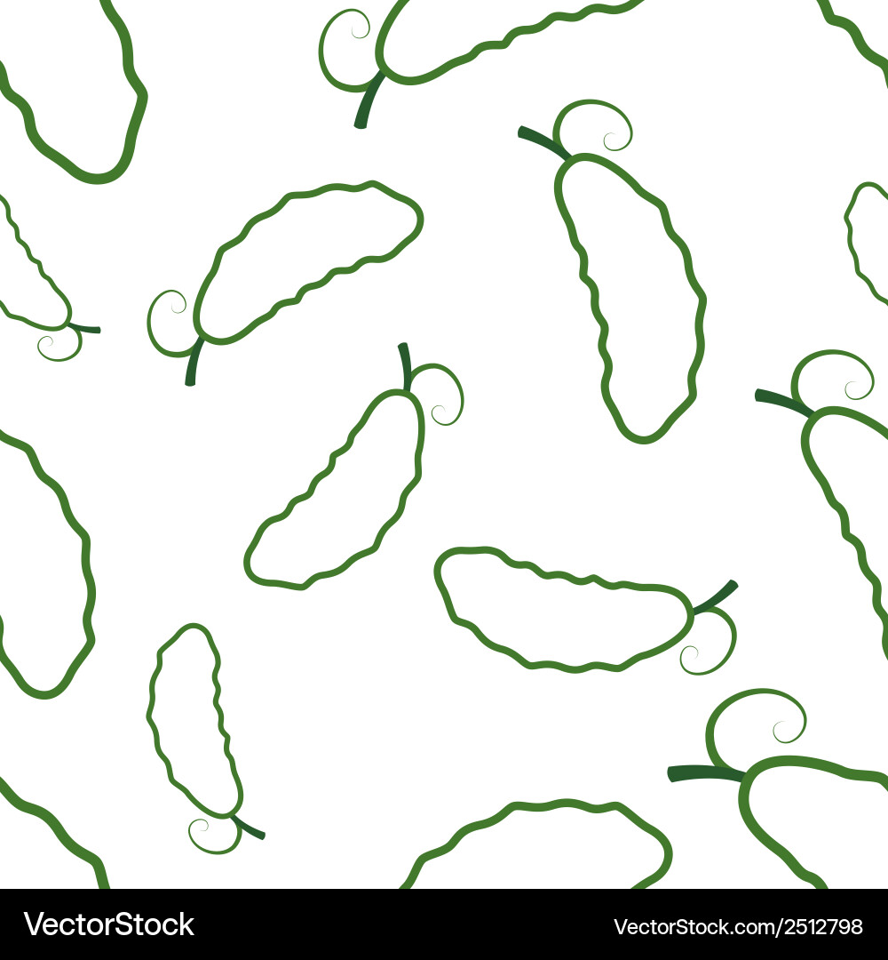Pattern circuit cucumber vector image