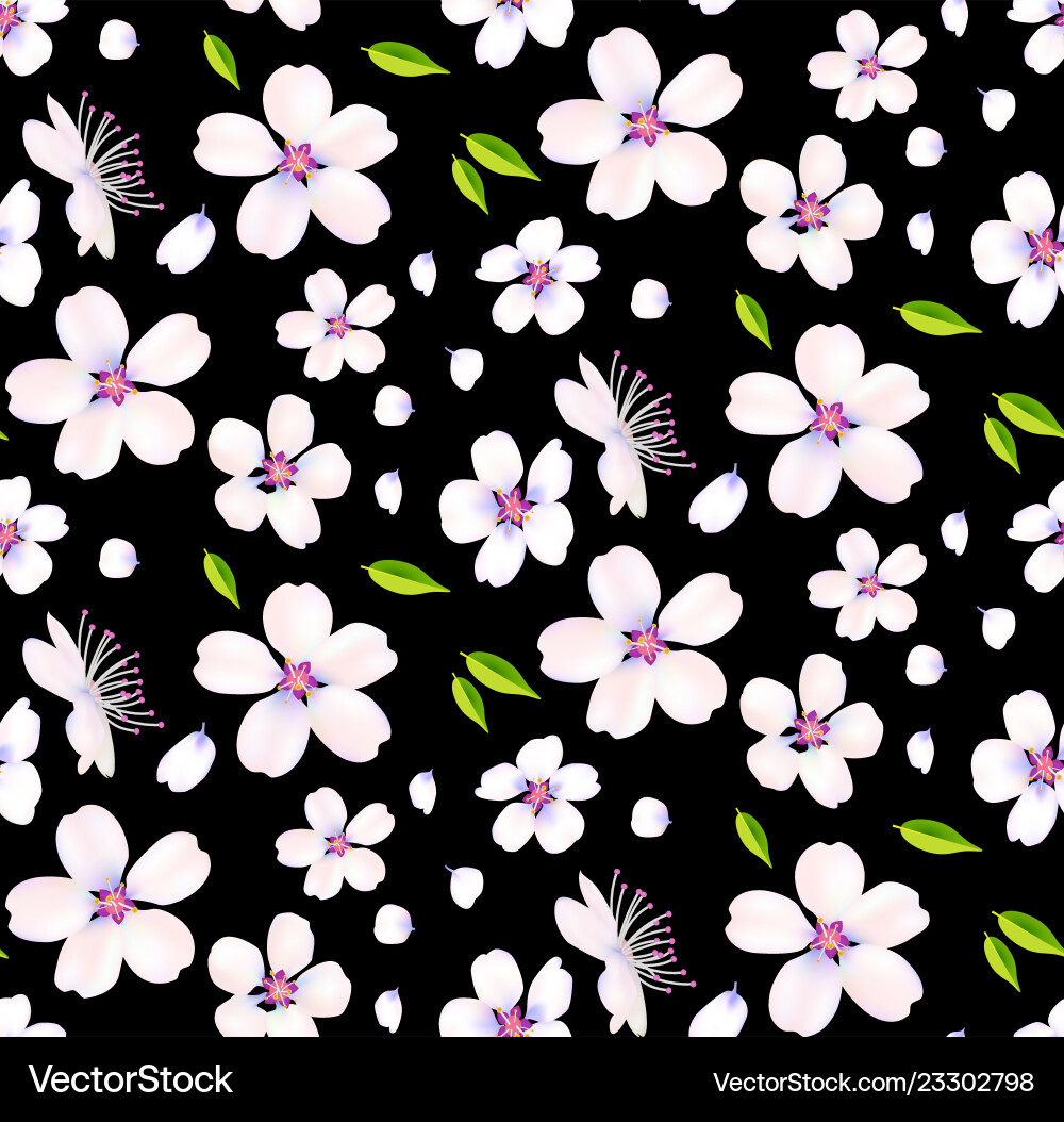 Sakura flowers cherry blossom and leaves seamless Sakura flowers cherry blossom and leaves seamless vector image