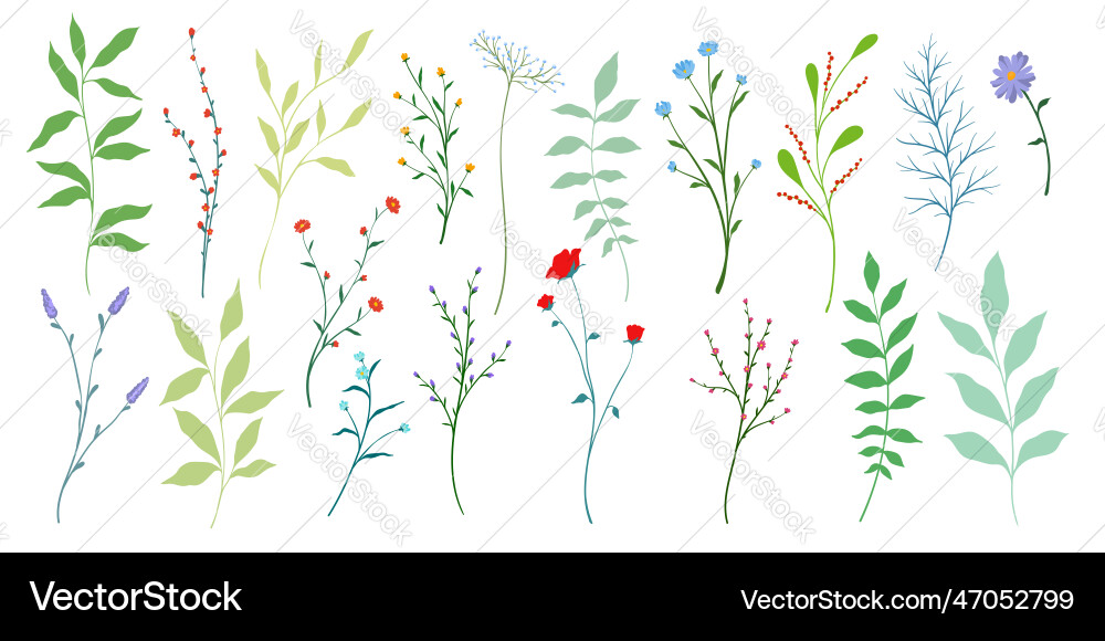 Creative minimalist abstract art wild flowers Creative minimalist abstract art wild flowers vector image
