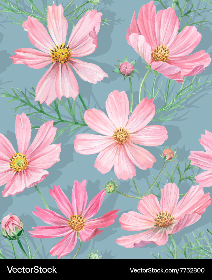 Cosmos Flower Seamless Pattern Vector Image