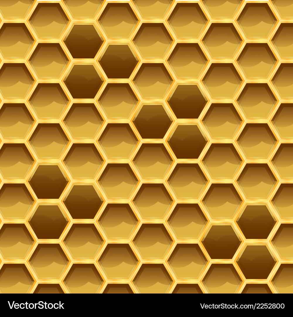 Honeycomb Texture with Larvae Pattern vector image