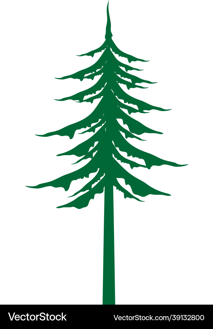 Pine tree icon design template Pine tree icon design template vector image
