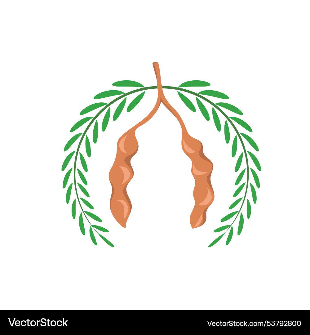 Tamarind icon element concept design template vector image