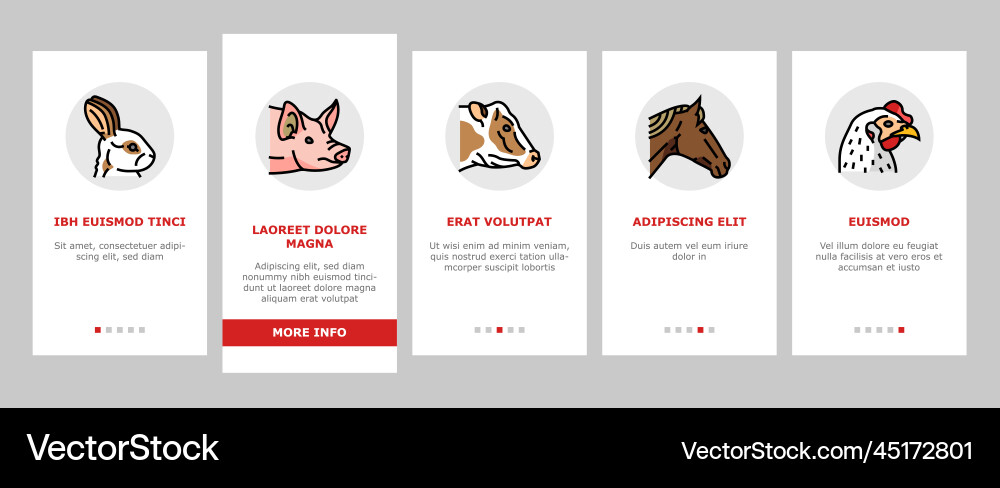 Animal zoo nature wildlife onboarding icons set Animal zoo nature wildlife onboarding icons set Vector Image