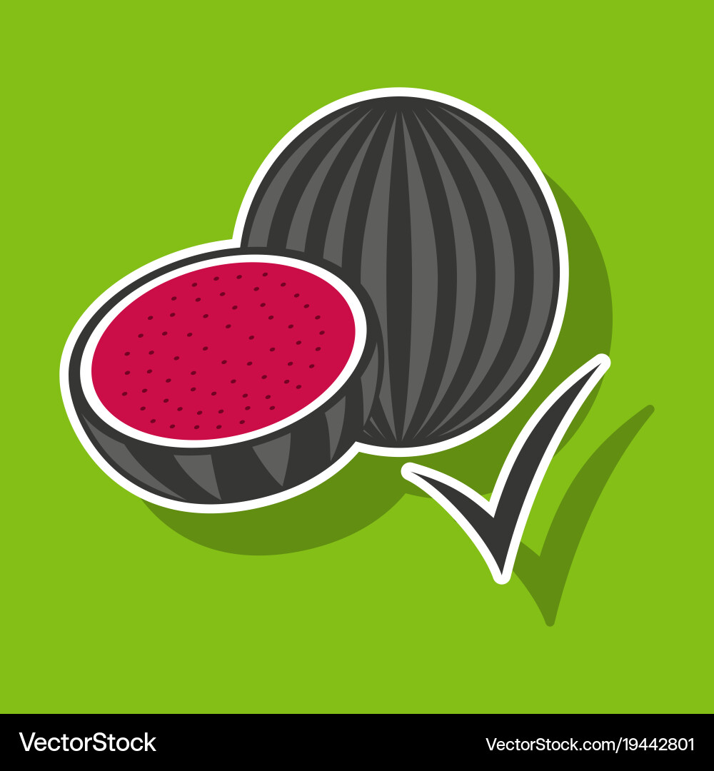 Frische und saftige ganze Wassermelone Scheiben Vektorbild