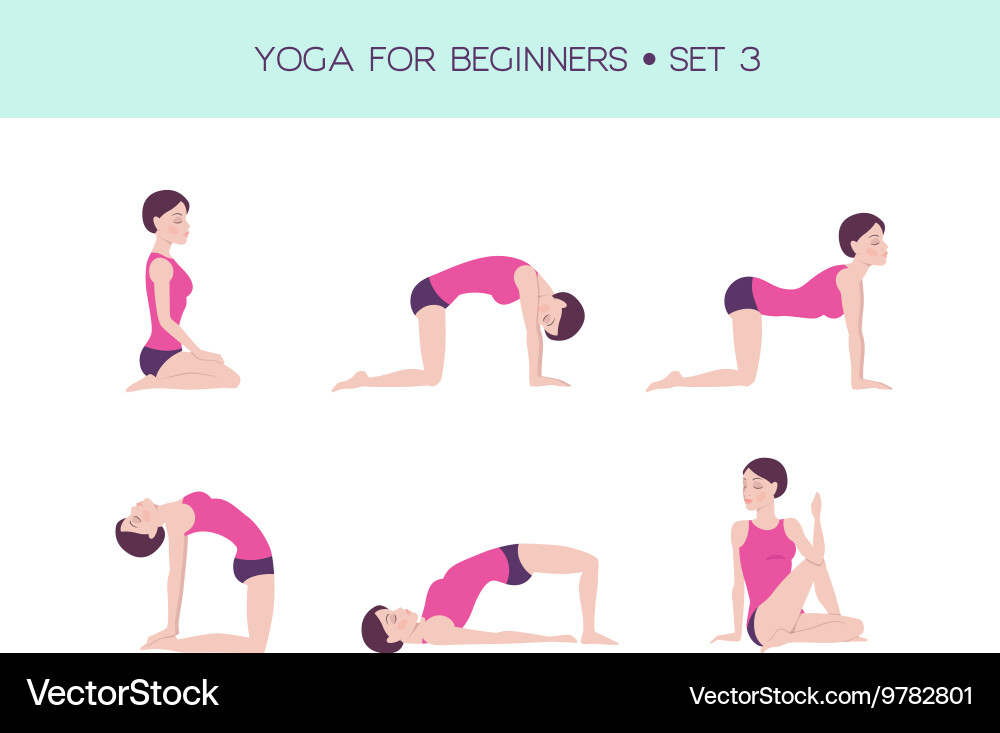 Yoga for beginners basic set vector image