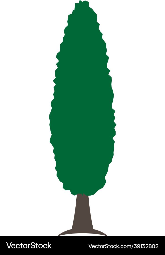 Cypress tree icon design template Cypress tree icon design template vector image