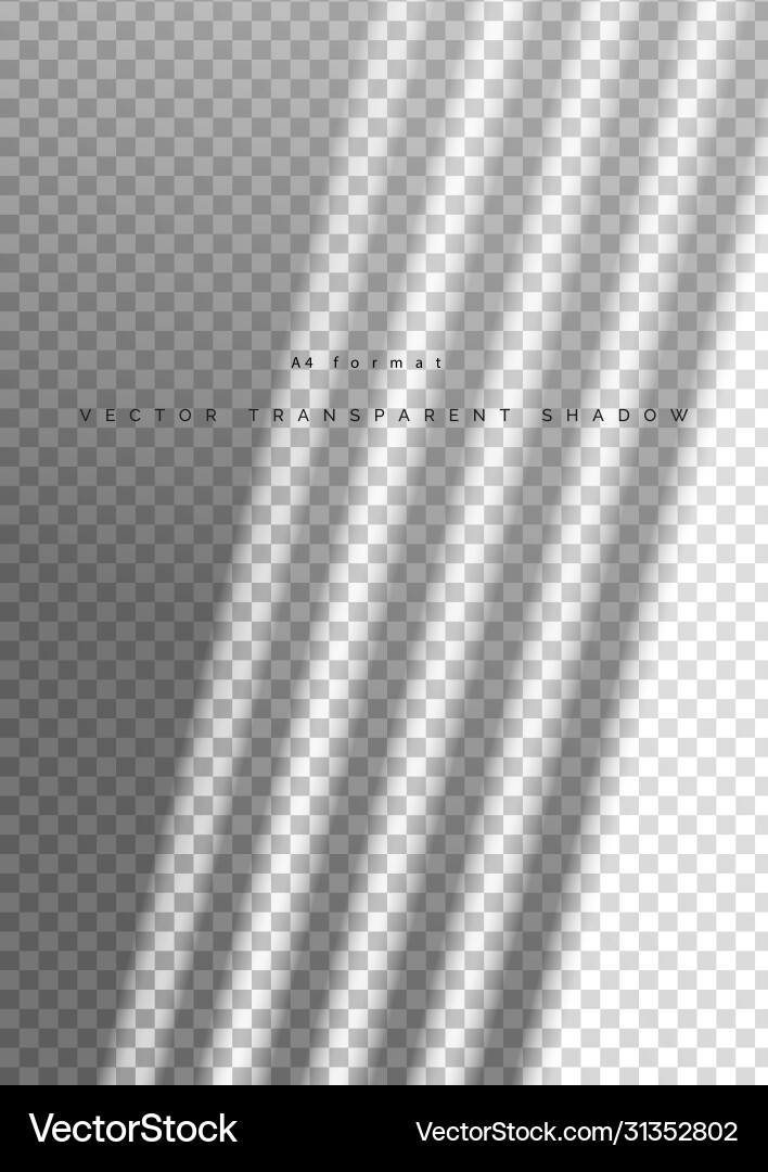 Transparent overlay shadow from window Transparent overlay shadow from window vector image