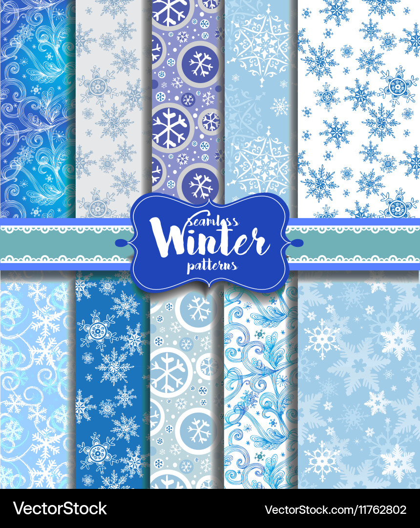 Winter Snowflake Pattern vector image