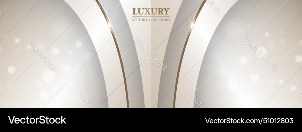 Luxury abstract 3d background with bokeh effect Luxury abstract 3d background with bokeh effect vector image