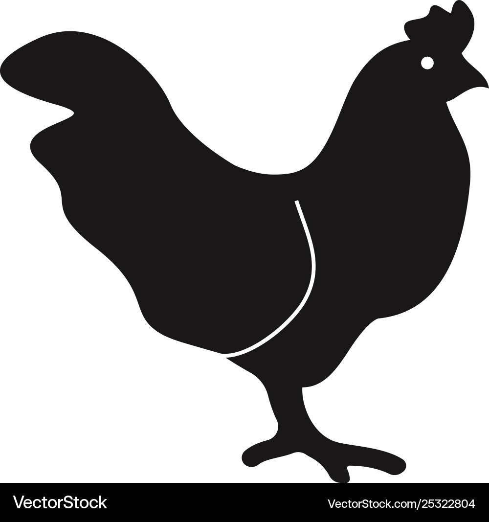 Chicken icon vector image