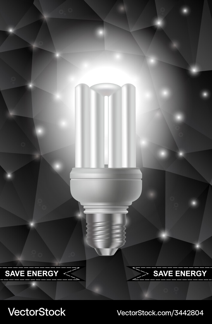 Energy saving bulb with triangle background vector image