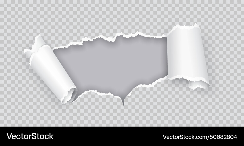 Ripped up paper over grey realistic vector image