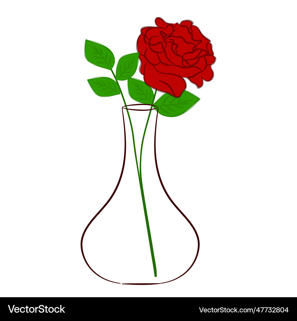 Rose in glass vase drawing white vector image