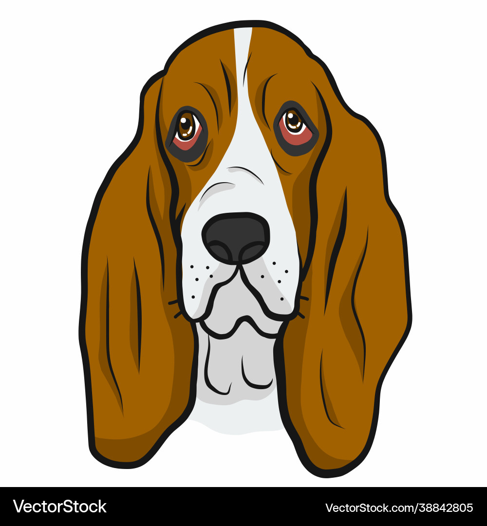 Basse Hund Gesicht Cartoon Basse Hund Gesicht Cartoon vektorbild
