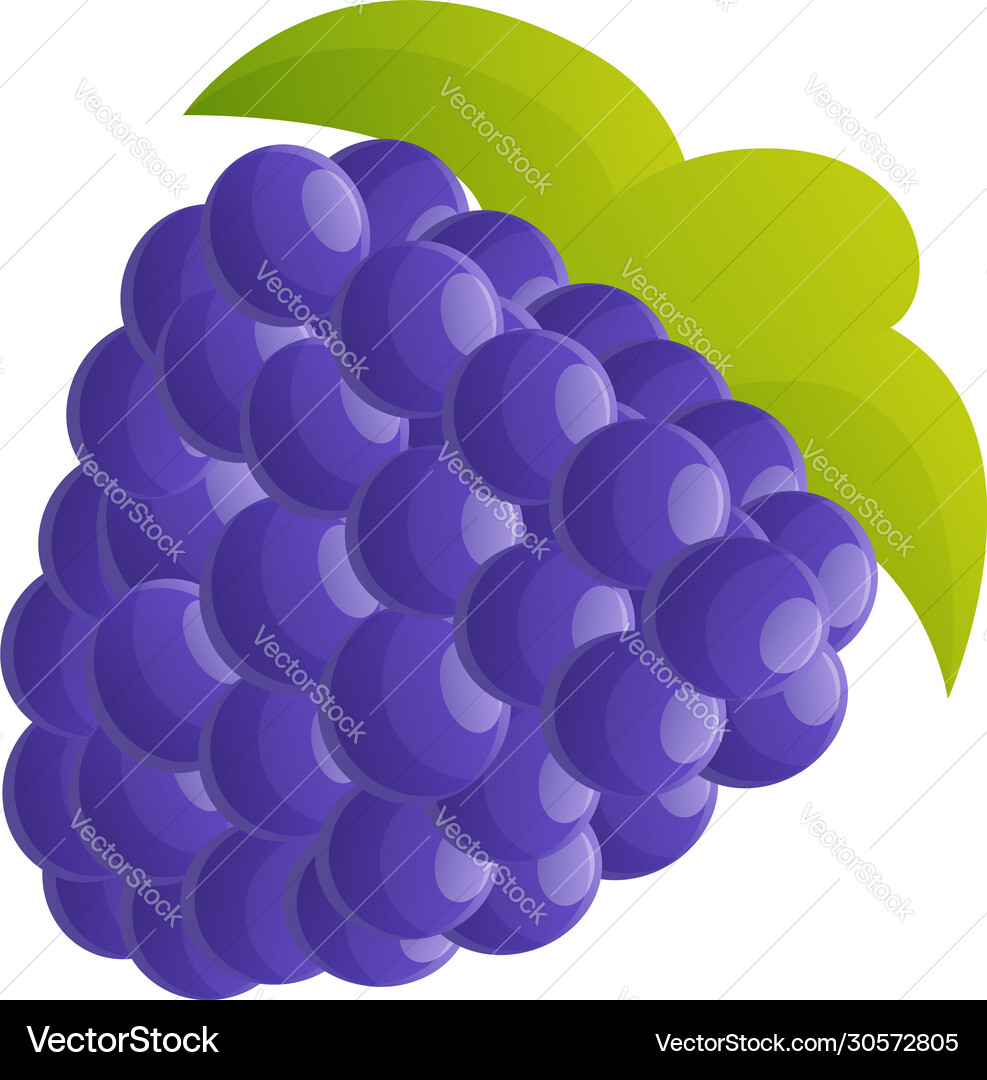 Delicious blackberry icon cartoon style Delicious blackberry icon cartoon style vector image