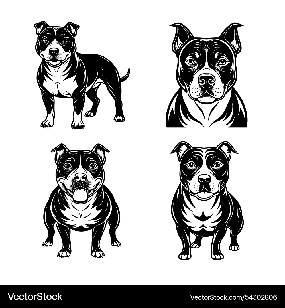 Taffordshire bull terrier silhouette images Taffordshire bull terrier silhouette images vector image