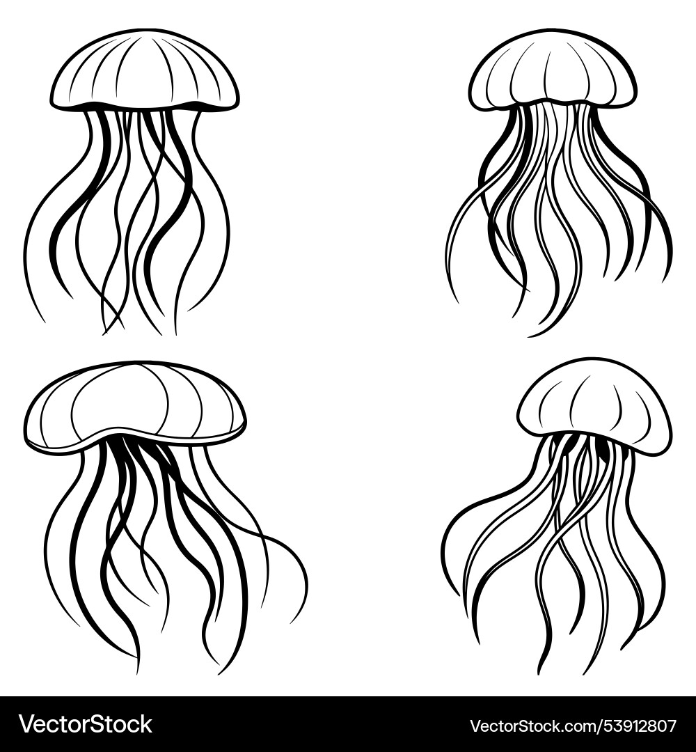 3d rendering of dynamic jellyfish silhouette line vector image