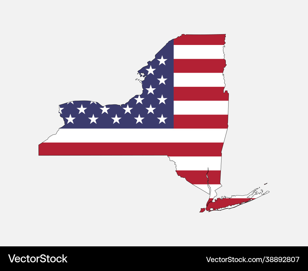 New York State on American Flag vector image