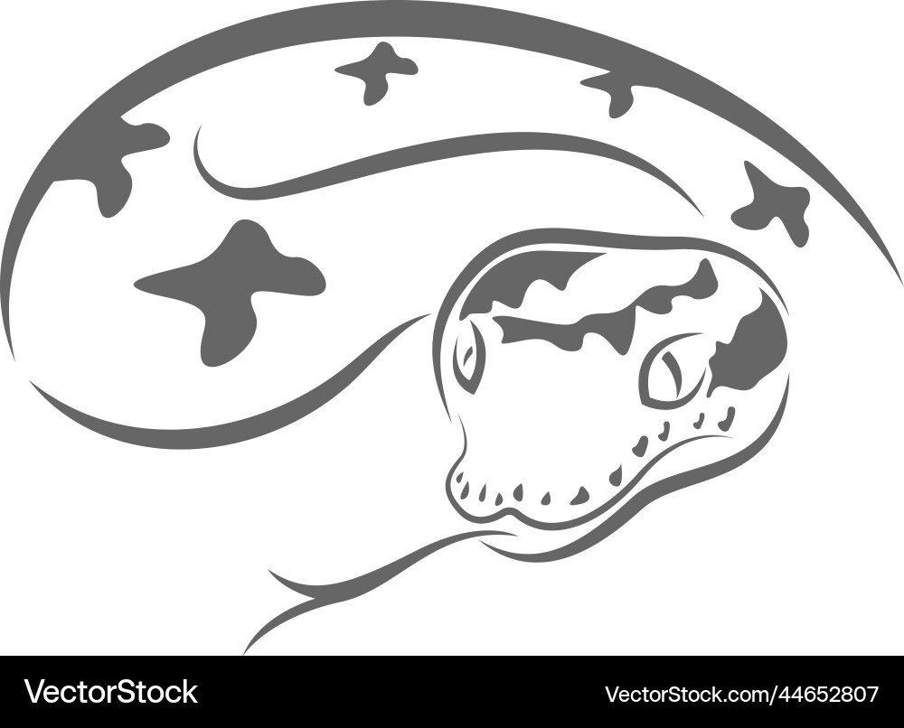 Python logo icon design vector image