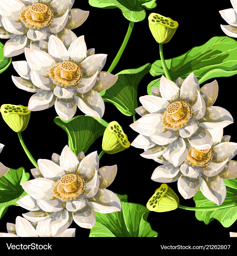 Seamless pattern with waterlily hand draw Seamless pattern with waterlily hand draw vector image