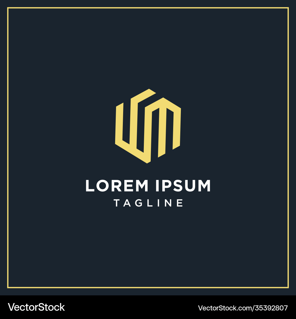Wm or wu hexagon logo vector image