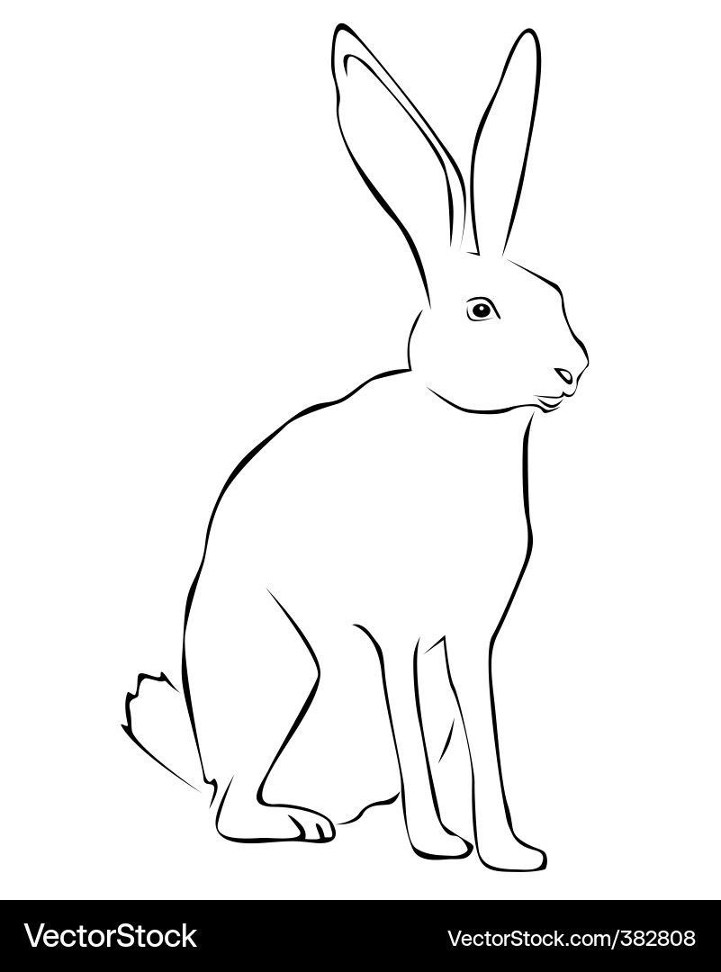 Hare Tracing Vector Image