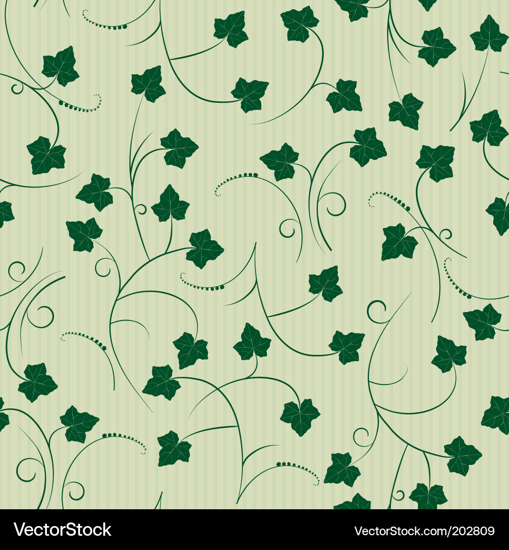 Elegant Ivy Pattern vector image