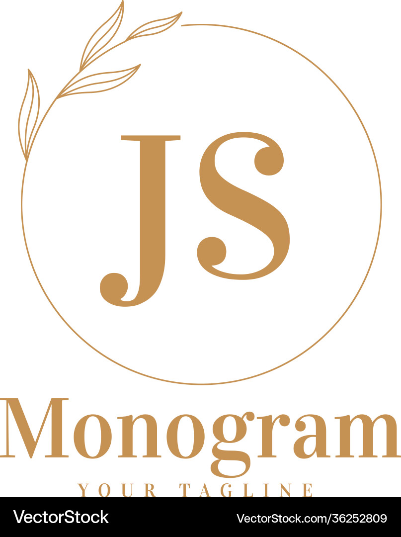 Js initial a logo design with feminine style Js initial a logo design with feminine style vector image