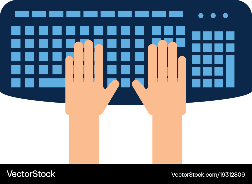 Person Using Keyboard vector image