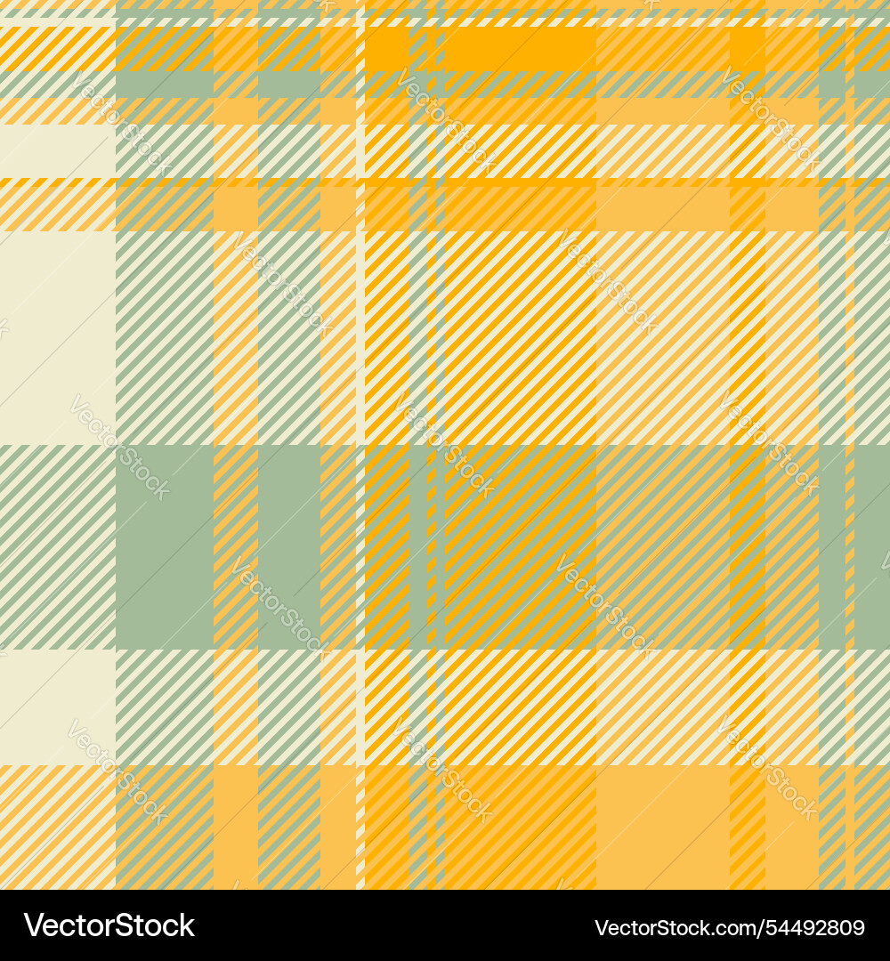 Picnic check pattern sample texture textile Vector Image