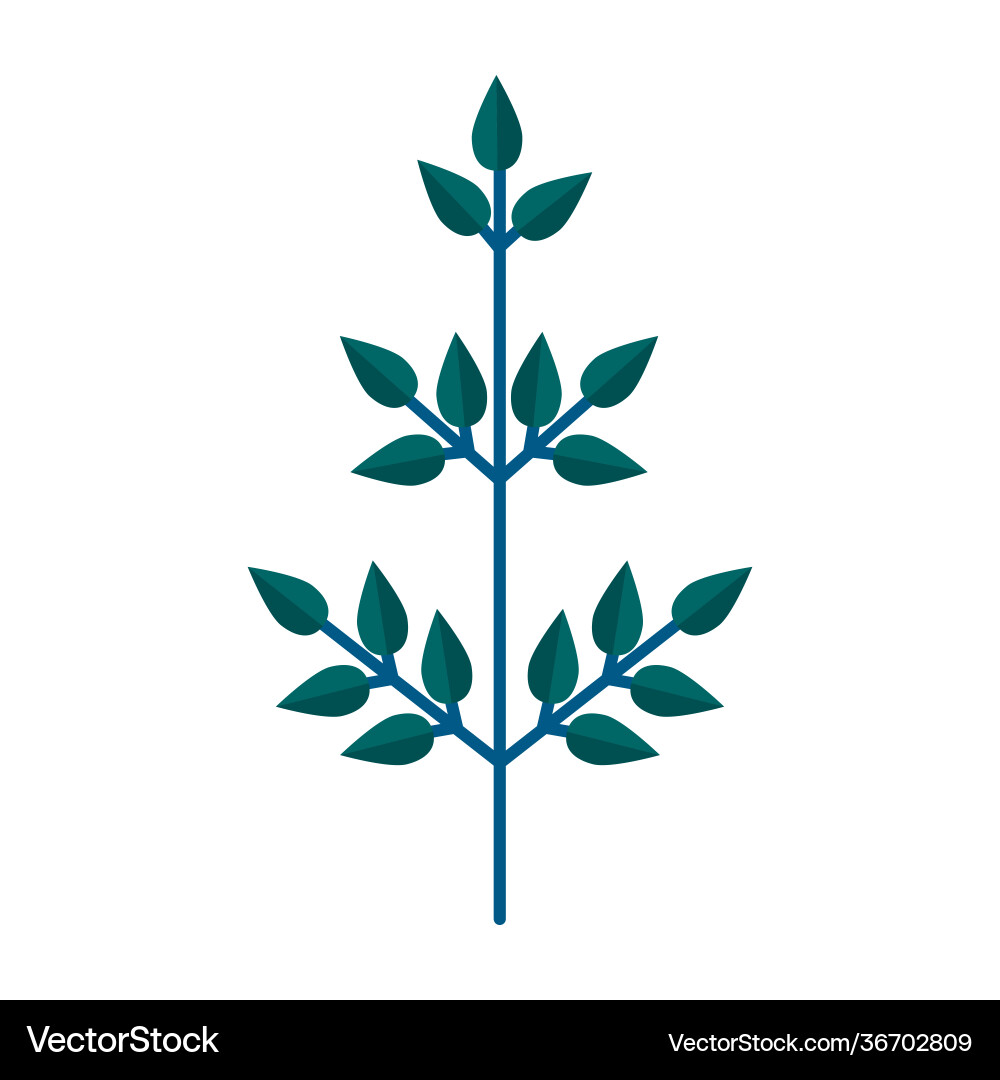 Simple minimalistic green branch tree Vector Image