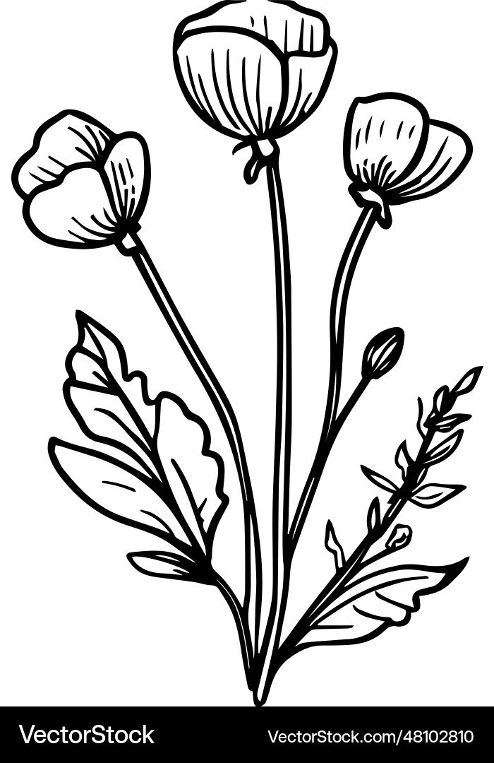Poppy tattoo black and white outline Poppy tattoo black and white outline vector image