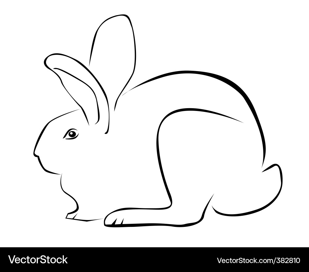 Tracing of a rabbit Vector Image