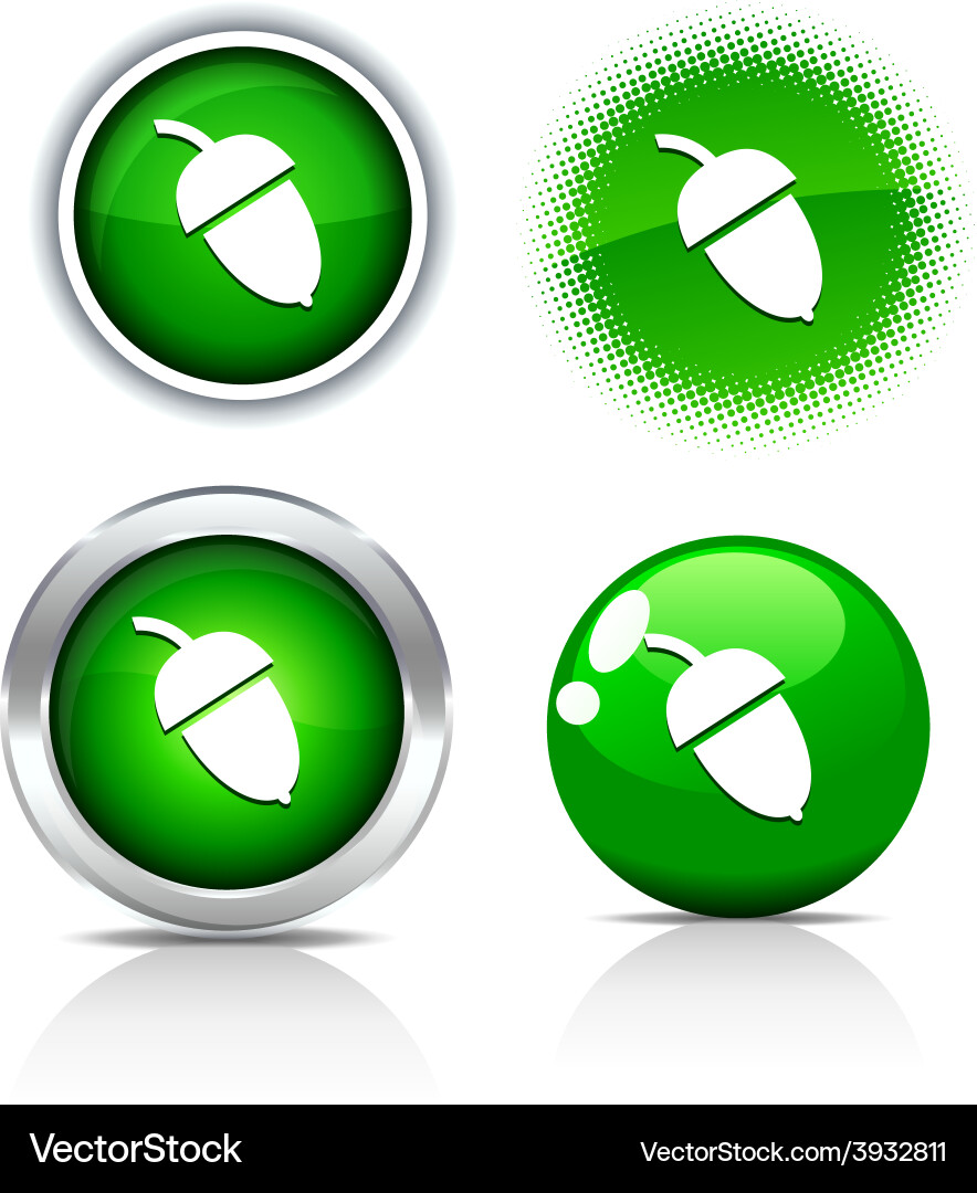 Acorn buttons Vector Image