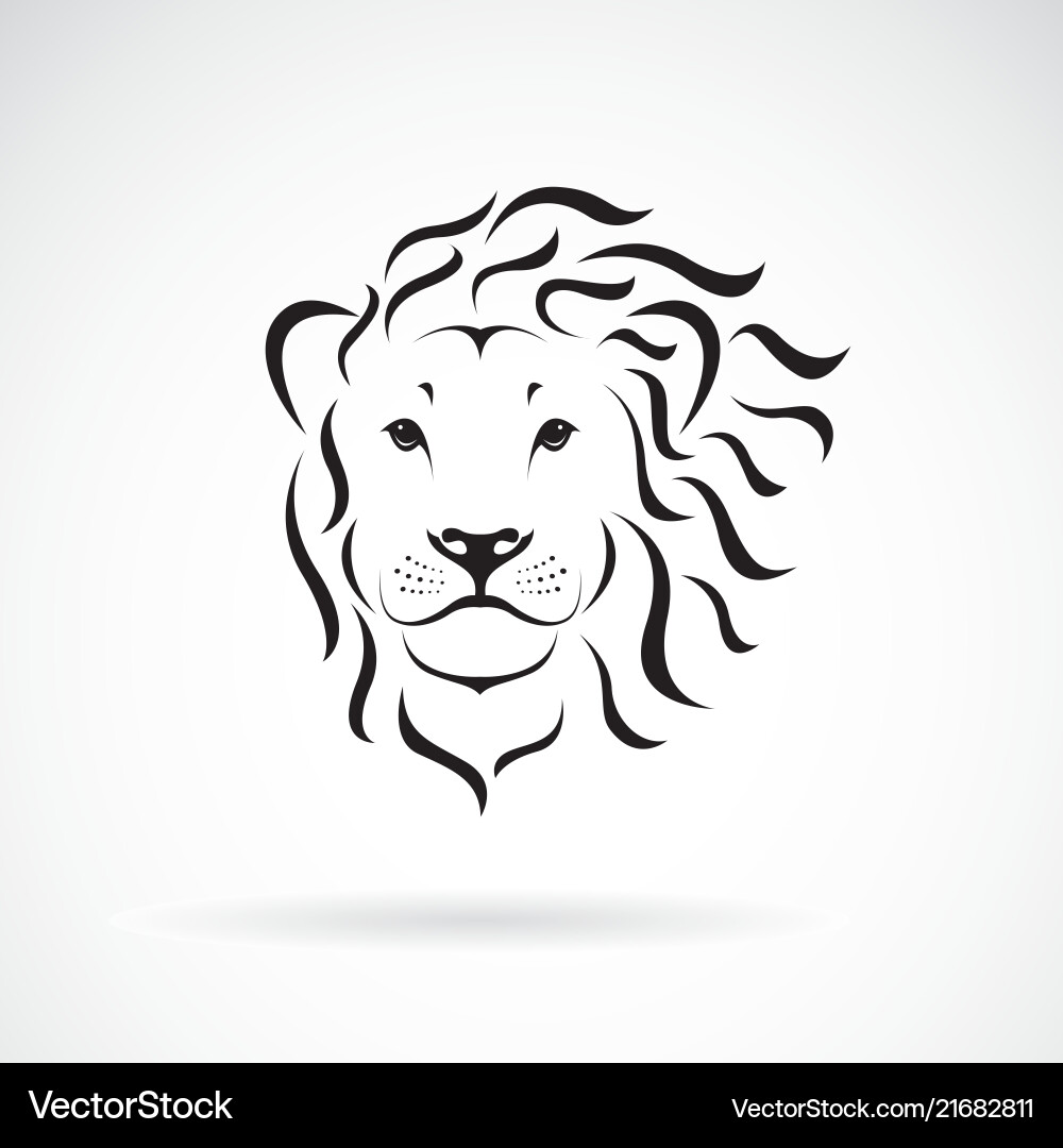 Lion Head Graphic vector image